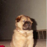 Donna Allred Photo 20