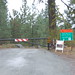 Nancy Gibbs Photo 14
