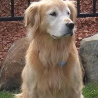 Maureen Sharp Photo 27