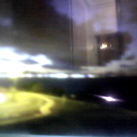 Martha Harry Photo 12
