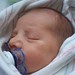 Anthony Thornton Photo 47