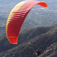 Jill Morrissey Photo 19