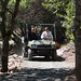 Susan Herrick Photo 39