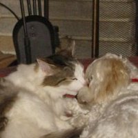 Rick Magill Photo 12