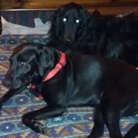 Becky Pruitt Photo 26