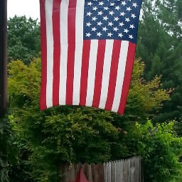 Debbie Shelton Photo 36