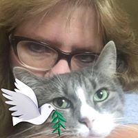 Debbie Ward Photo 26 Debbie Ward Photo 26