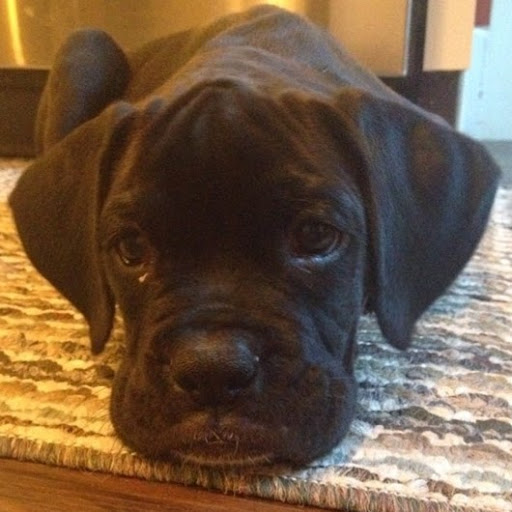 Sarah Talbot Photo 8