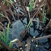 Margaret Ponds Photo 4