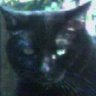 Sharon Galloway Photo 14