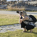 Susan Devlin Photo 44