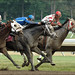 Eddie Marquez Photo 30