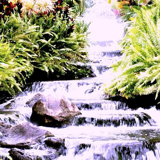 Cynthia Page Photo 16