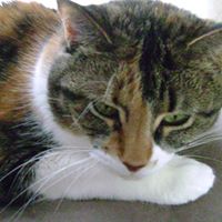 Debra Godwin Photo 22