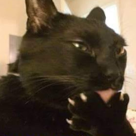 Anthony Smallwood Photo 37