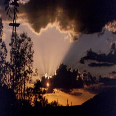 Nicole Carr Photo 13