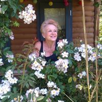 Bernadette Ingram Photo 5