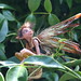 Michelle Bradshaw Photo 33