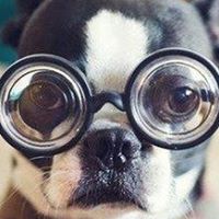 Phillip Berger Photo 13