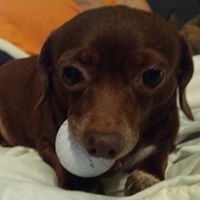 Ron Travis Photo 25 Ron Travis Photo 25