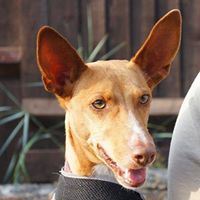 Cathy Shepherd Photo 32