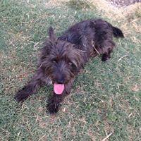 Robin Mcgrath Photo 17