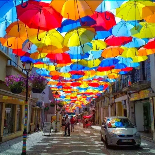 Jesse Roland Photo 22