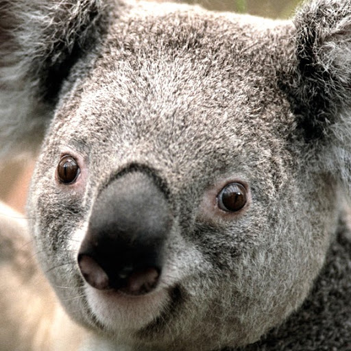 Grace Weber Photo 34 Grace Weber Photo 34