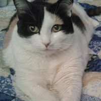 Joyce Griggs Photo 14