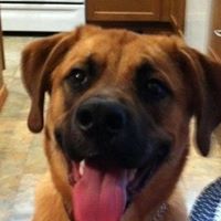 Jamie Small Photo 15