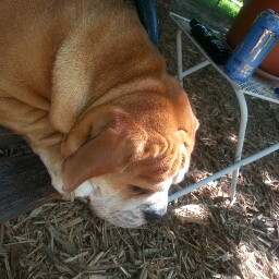 Amy Bowen Photo 26