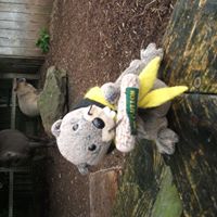 Claire Clements Photo 6