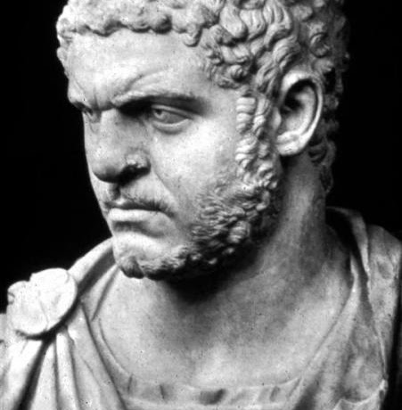 Marc Haynes Photo 42