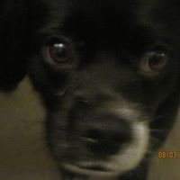 Samuel Field Photo 20