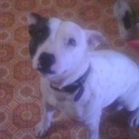 Kenneth Osborne Photo 25