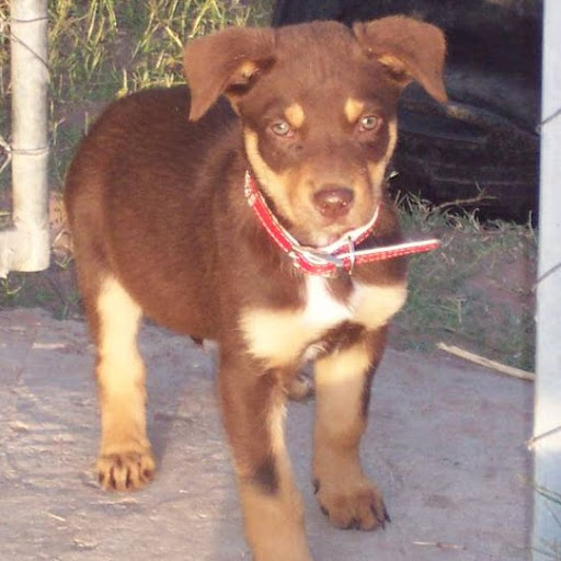 Michelle Matheson Photo 8