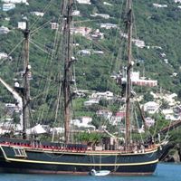 Billie Mullins Photo 20