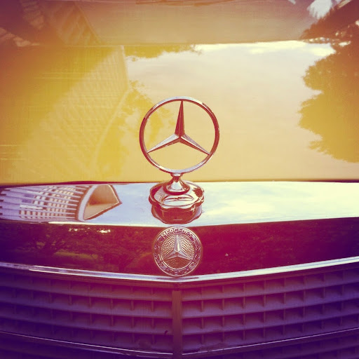 Brian Shields Photo 44