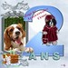 Cherie Gross Photo 10