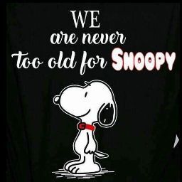 Cathy Cisneros Photo 11