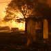 Misty Nicholas Photo 15