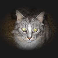 Gillian Austin Photo 27