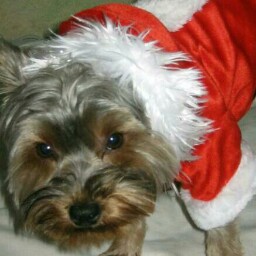 Christophe Richter Photo 1