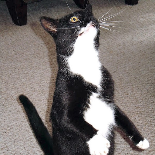 Jill Berger Photo 19