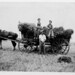 Frank Stevens Photo 22