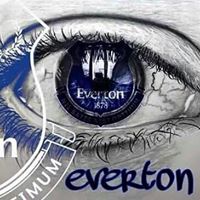 Mike Connell Photo 18