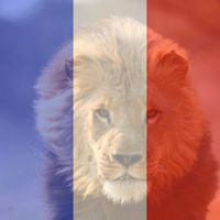 Sandra Matheny Photo 16