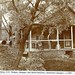 Gwin Frederick Photo 5