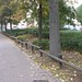 Lisa Platz Photo 5