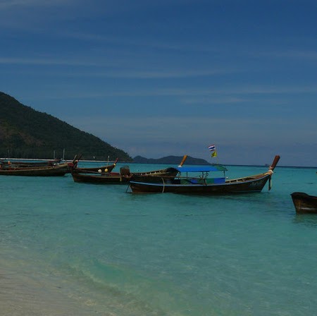 Susan Foster Photo 49